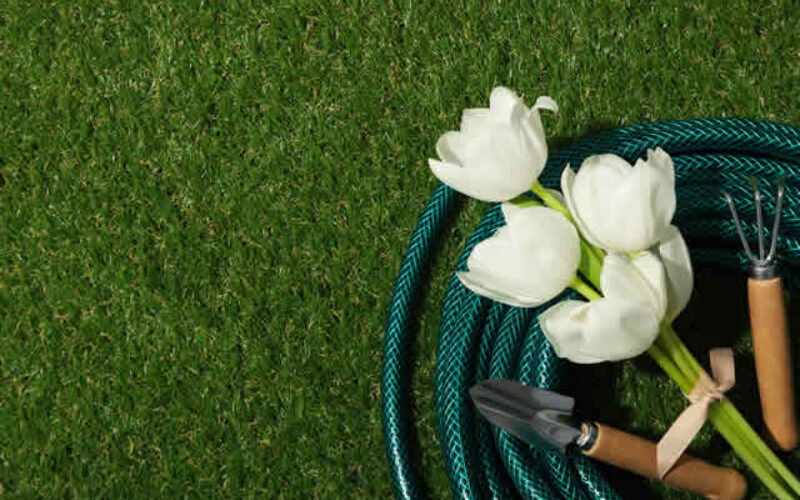 Essential Spring Yard Maintenance Strategies