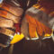 Launch Your Handyman Business: A Step-by-Step Guide