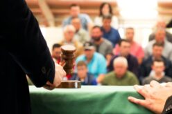 What Can Cause a Buyer To Hesitate During an Auction?