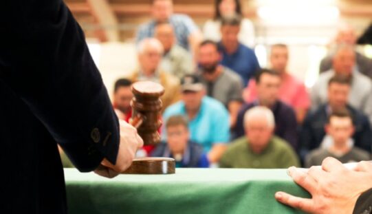 What Can Cause a Buyer To Hesitate During an Auction?