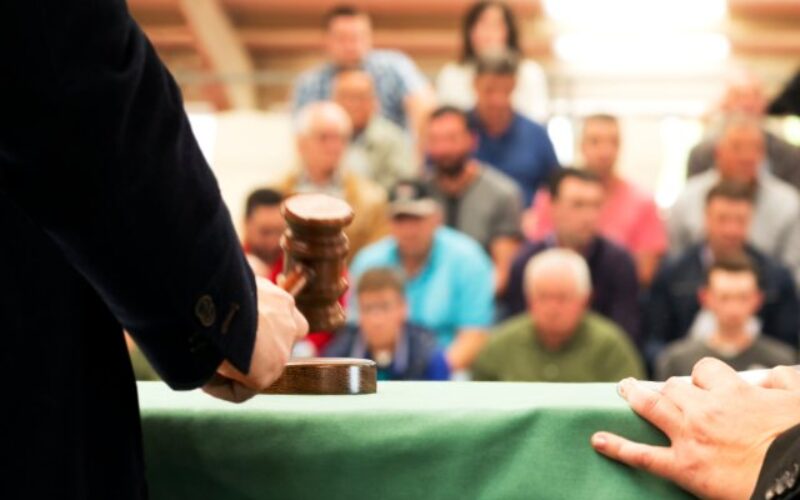 What Can Cause a Buyer To Hesitate During an Auction?