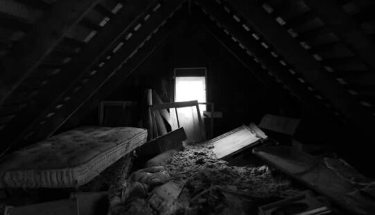Your Attic Is a Mess—Here’s How to Reclaim It