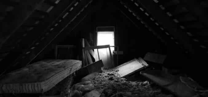 Your Attic Is a Mess—Here’s How to Reclaim It