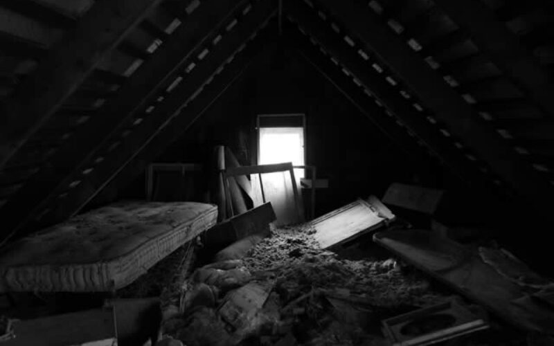 Your Attic Is a Mess—Here’s How to Reclaim It