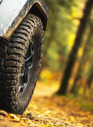 Why You Need Tough Dog Shock Absorbers for Off-Road Adventures