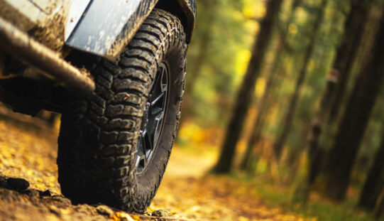 Why You Need Tough Dog Shock Absorbers for Off-Road Adventures