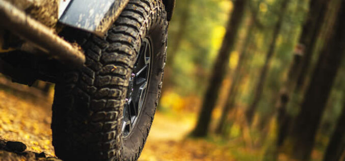 Why You Need Tough Dog Shock Absorbers for Off-Road Adventures