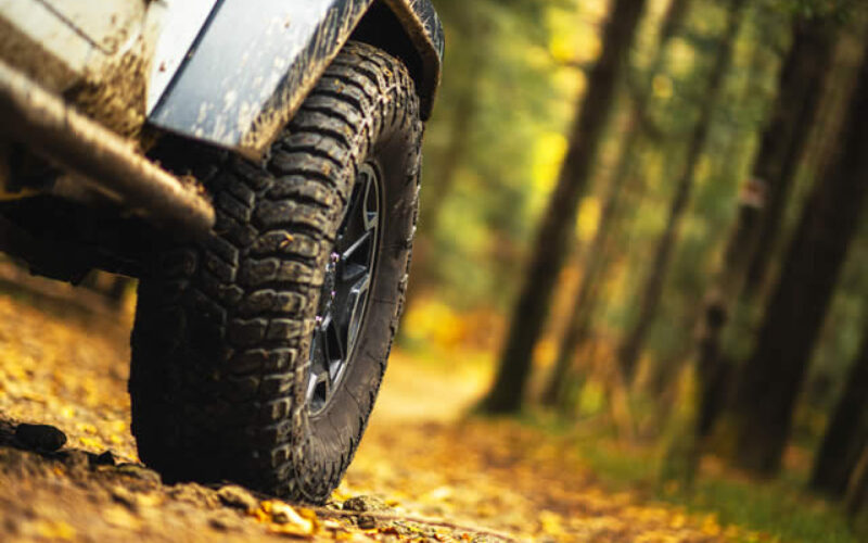 Why You Need Tough Dog Shock Absorbers for Off-Road Adventures