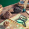 Turn a Corner of Your Home Into a Lifelong Learning Lab