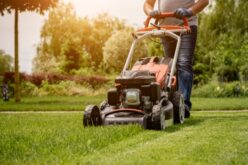 Ways To Turn Lawn Care Skills Into a Full-Time Business