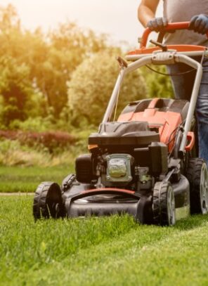 Ways To Turn Lawn Care Skills Into a Full-Time Business