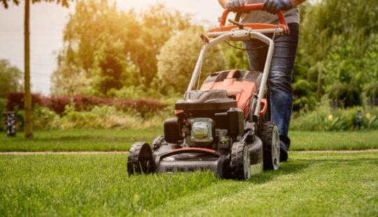 Ways To Turn Lawn Care Skills Into a Full-Time Business