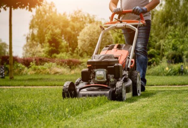 Ways To Turn Lawn Care Skills Into a Full-Time Business