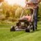 Ways To Turn Lawn Care Skills Into a Full-Time Business