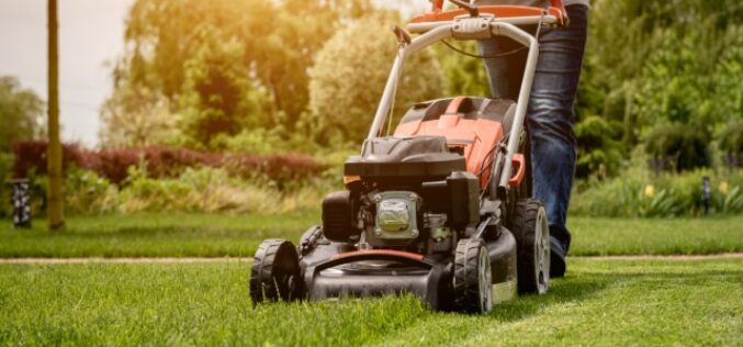 Ways To Turn Lawn Care Skills Into a Full-Time Business