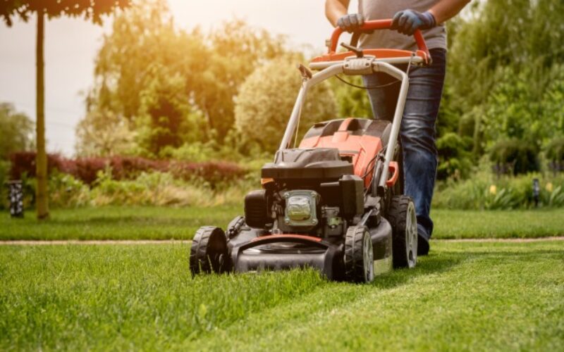 Ways To Turn Lawn Care Skills Into a Full-Time Business