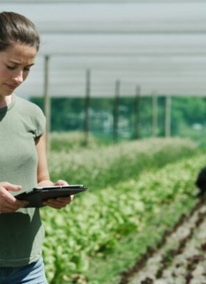 How To Set Up a Farm for Long Term Productivity
