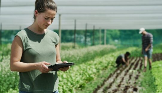 How To Set Up a Farm for Long Term Productivity
