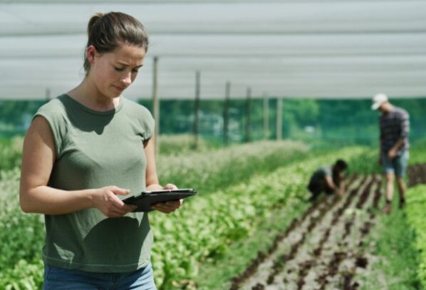 How To Set Up a Farm for Long Term Productivity