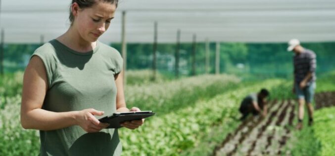 How To Set Up a Farm for Long Term Productivity