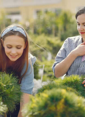 Wantirna Landscaping Secrets: Boost Your Home Garden Value with Expert Tips