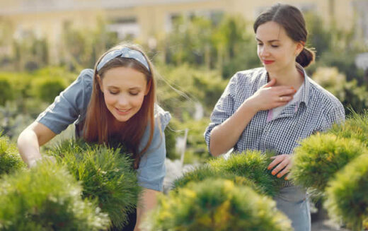 Wantirna Landscaping Secrets: Boost Your Home Garden Value with Expert Tips