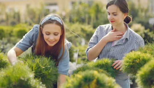 Wantirna Landscaping Secrets: Boost Your Home Garden Value with Expert Tips