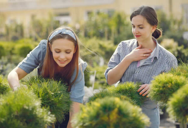 Wantirna Landscaping Secrets: Boost Your Home Garden Value with Expert Tips