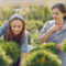Wantirna Landscaping Secrets: Boost Your Home Garden Value with Expert Tips