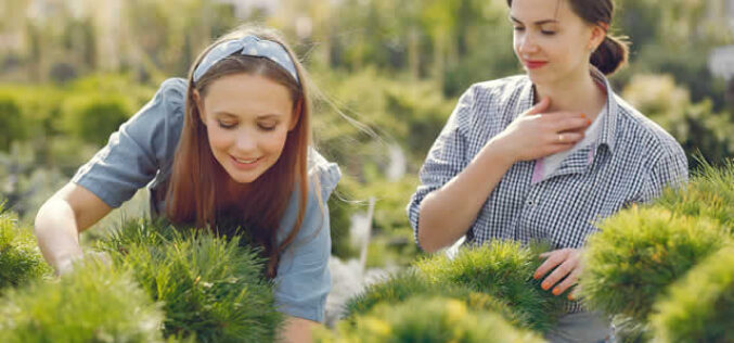 Wantirna Landscaping Secrets: Boost Your Home Garden Value with Expert Tips